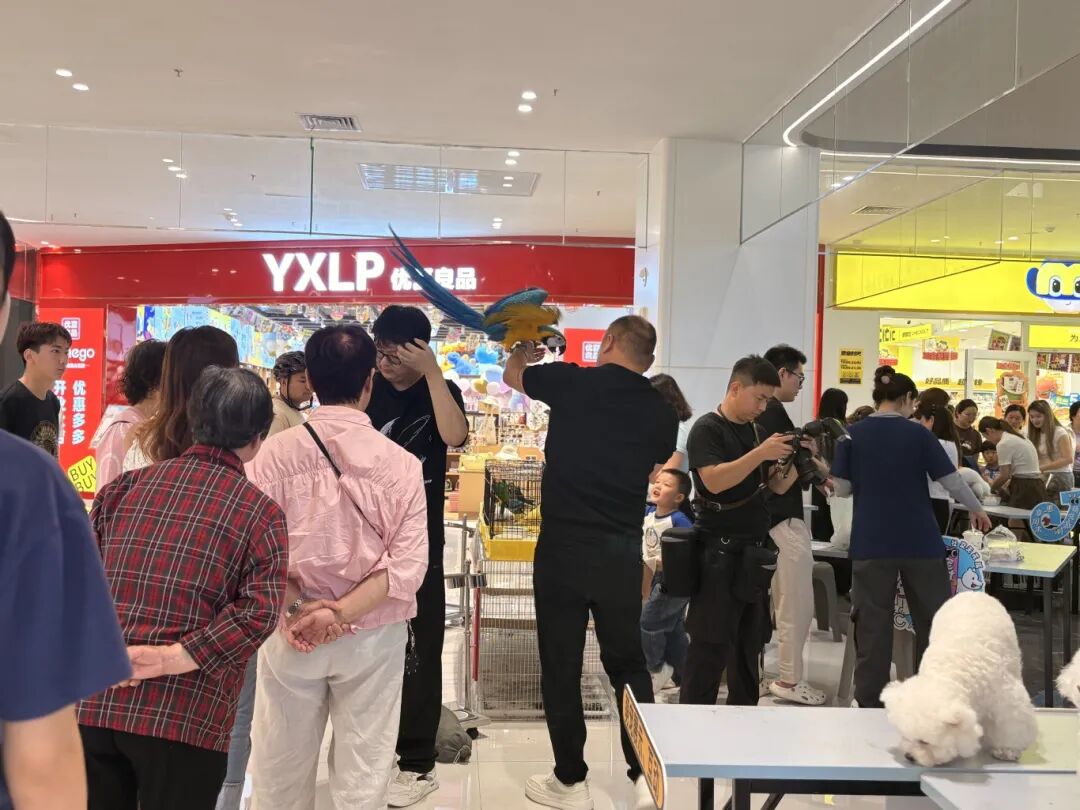 首页 | J9集团公司官网